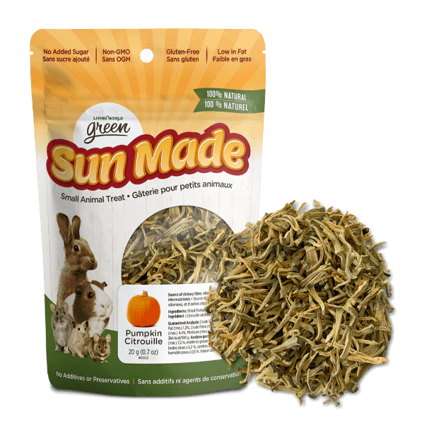 Living World Green Sun Made Dried Pumpkin Treat
