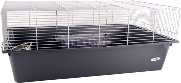 Living World Rat Starter Kit - Image 3