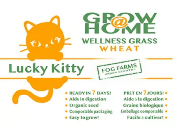 Lucky Kitty Grow @ Home Cat Grass Home Grow Kit; Wheat Refill Pack - Image 2