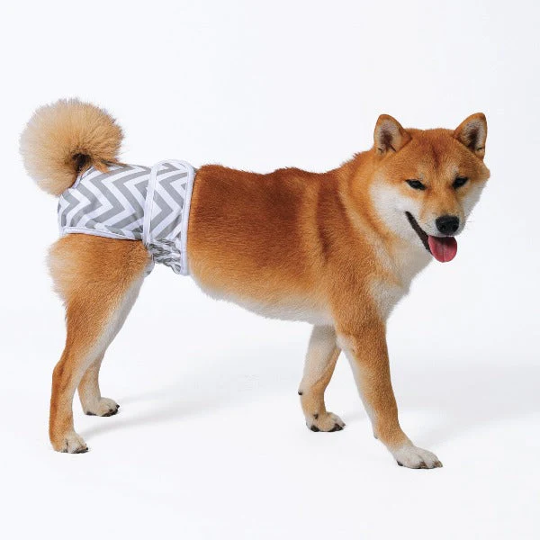 M-PETS Female Washable Diaper - Image 2