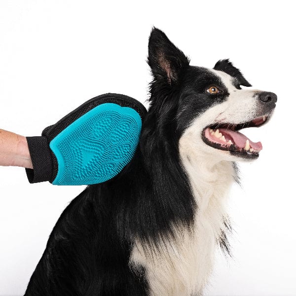 M-PETS HAIRDO Grooming Mitt - Image 2