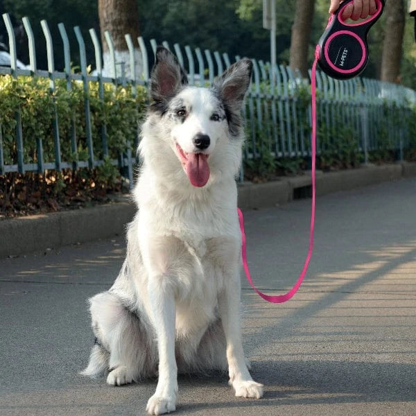 M-PETS LIBERTY Retractable Dog Leash - Image 2
