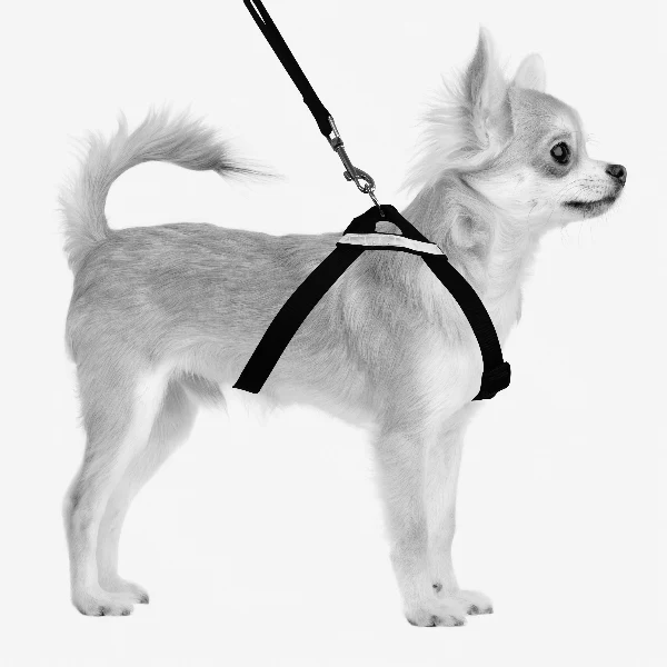 M-PETS Secura Safety Car Harness - Image 4
