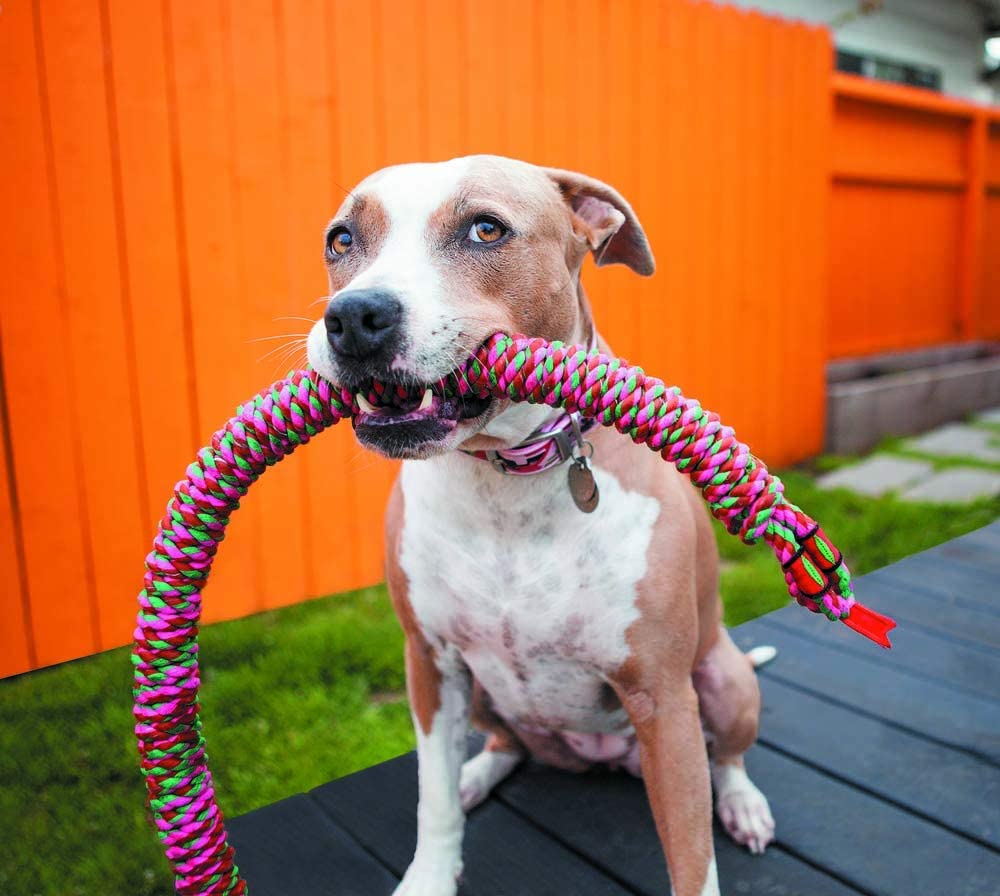 Mammoth SnakeBiter Rope Dog Toy - Image 2