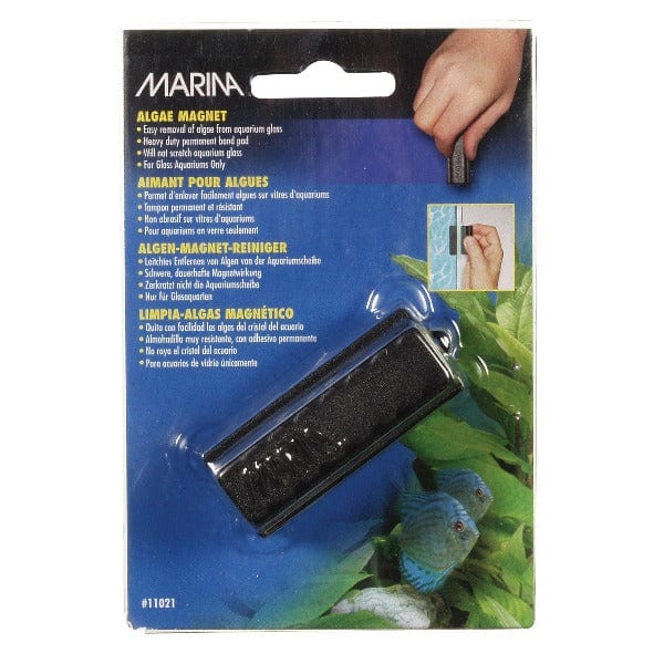 Marina Aquarium Algae Glass Magnet