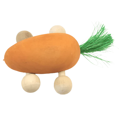 Moss Hollow Rolling Carrot Toy