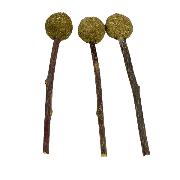 Moss Hollow Timmy Pops Hay Treat - Image 2