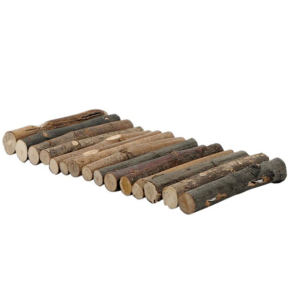 Moss Hollow Tree Twigs Lounging Logs - Image 2