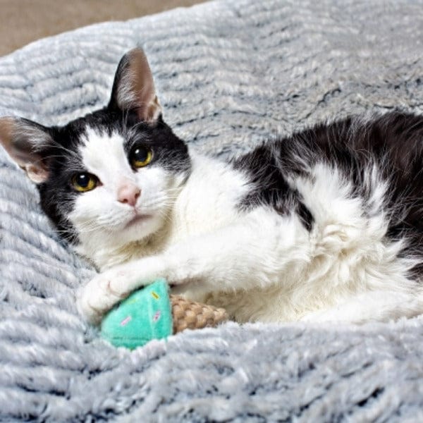 Multipet Ice Cream Cone Cat Toy - Image 2