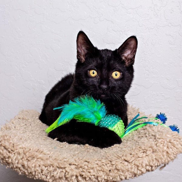 Multipet Mesh Ball with Feathers Cat Toy - Image 2