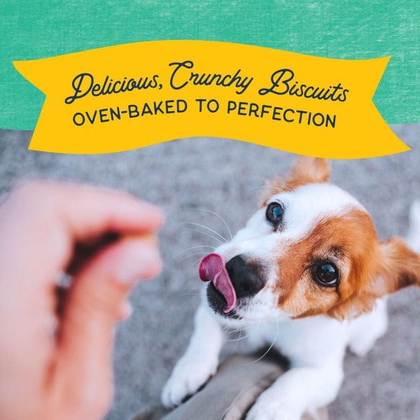 Natural Balance Crunchy Biscuits With Real Chicken Small Breed Recipe, 8oz - Image 4