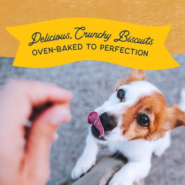 Natural Balance Crunchy Biscuits With Real Duck Small Breed Recipe, 8oz - Image 4