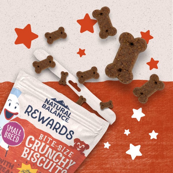 Natural Balance Crunchy Biscuits With Real Salmon Small Breed Recipe, 8oz - Image 5
