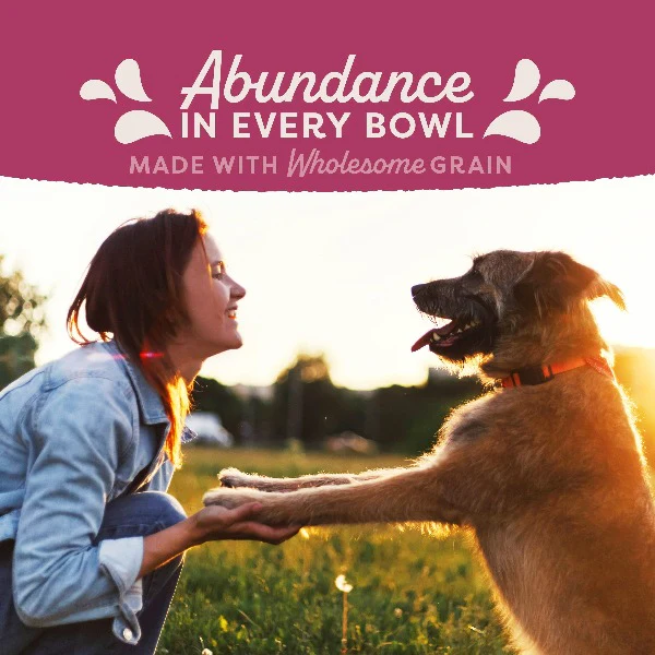 Natural Balance Fat Dogs Recipe Dry Dog Food, 24lb - Image 5