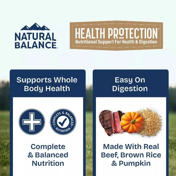 Natural Balance Health Protection Beef & Pumpkin Stew Recipe Canned Dog Food - Image 3