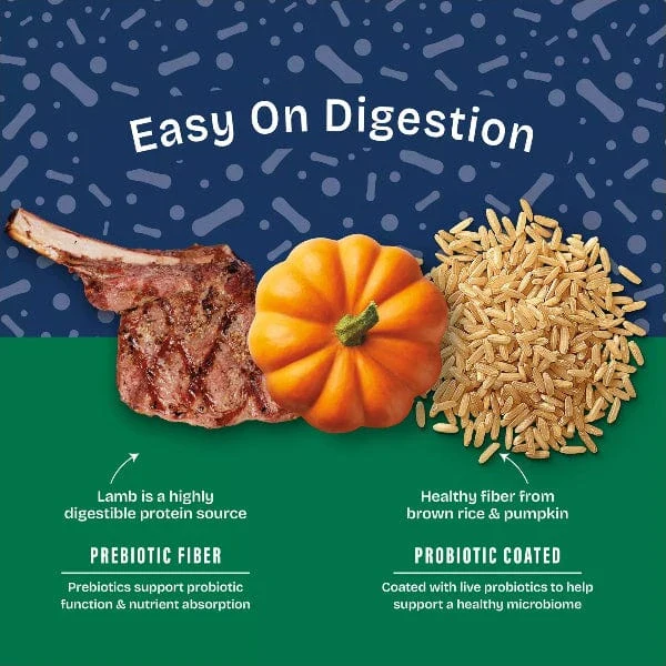 Natural Balance Health Protection Lamb, Brown Rice & Pumpkin Recipe Adult Dry Dog Food - Image 2