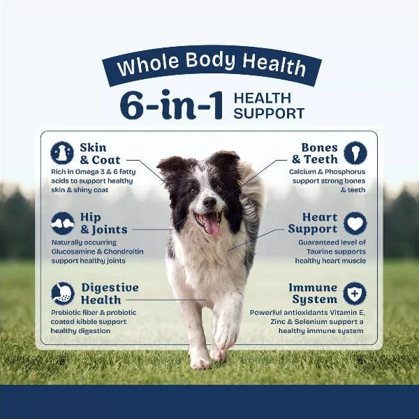 Natural Balance Health Protection Lamb, Brown Rice & Pumpkin Recipe Adult Dry Dog Food - Image 3