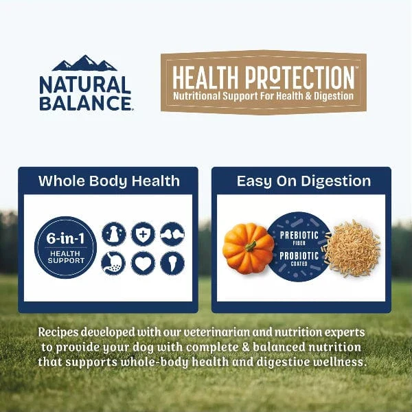 Natural Balance Health Protection Lamb, Brown Rice & Pumpkin Recipe Adult Dry Dog Food - Image 4