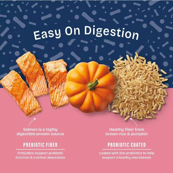 Natural Balance Health Protection Salmon, Brown Rice & Pumpkin Recipe Adult Dry Dog Food - Image 2