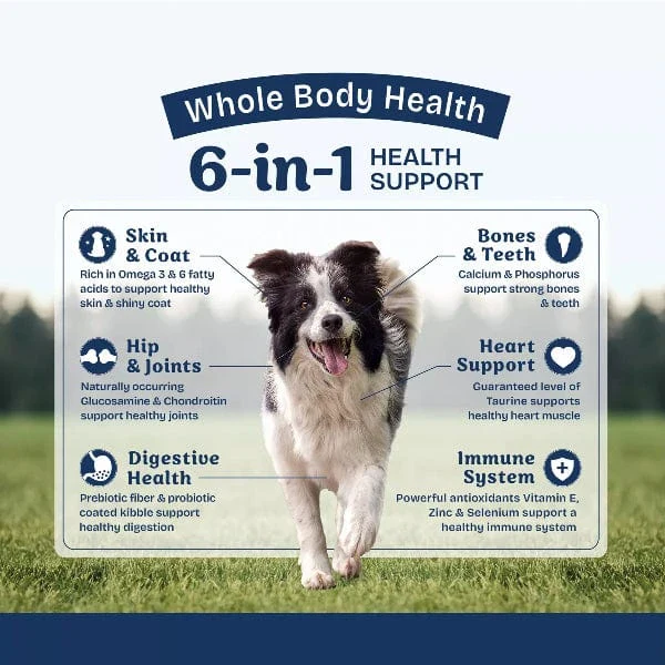 Natural Balance Health Protection Salmon, Brown Rice & Pumpkin Recipe Adult Dry Dog Food - Image 3