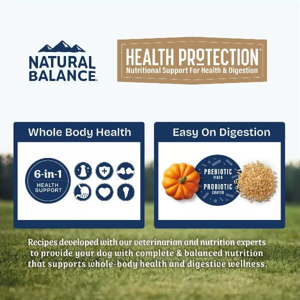Natural Balance Health Protection Salmon, Brown Rice & Pumpkin Recipe Adult Dry Dog Food - Image 4
