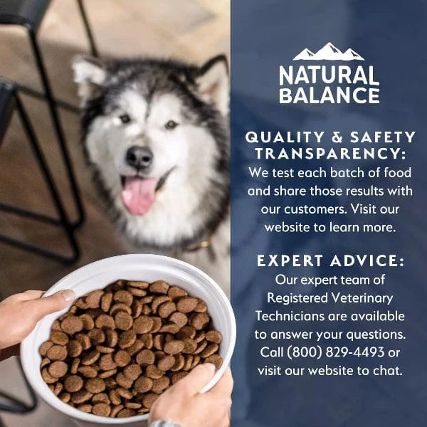 Natural Balance Health Protection Salmon, Brown Rice & Pumpkin Recipe Adult Dry Dog Food - Image 8