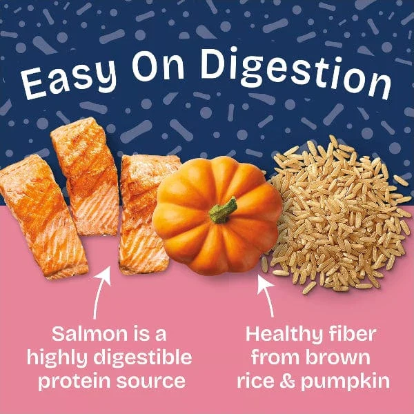 Natural Balance Health Protection Salmon & Pumpkin Stew Recipe Canned Dog Food - Image 3