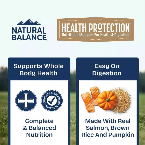 Natural Balance Health Protection Salmon & Pumpkin Stew Recipe Canned Dog Food - Image 4