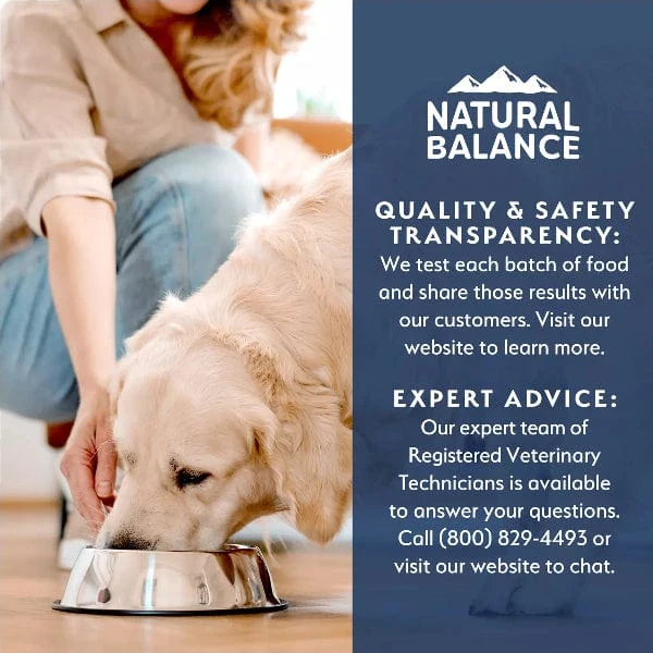 Natural Balance Health Protection Salmon & Pumpkin Stew Recipe Canned Dog Food - Image 8