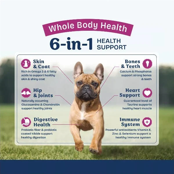 Natural Balance Health Protection Small Breed Adult Dry Dog Food, 4lb - Image 3