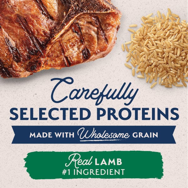 Natural Balance Limited Ingredient Lamb & Brown Rice Recipe Canned Dog Food - Image 3