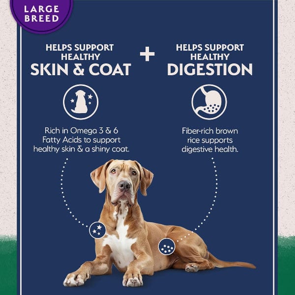Natural Balance Limited Ingredient Lamb & Brown Rice Large Breed Recipe Dry Dog Food, 26lb - Image 3