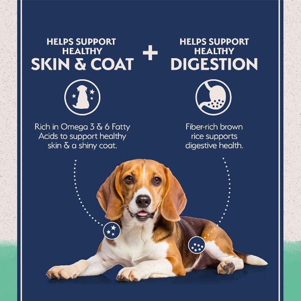 Natural Balance Limited Ingredient Chicken & Sweet Potato Recipe Dry Dog Food - Image 3