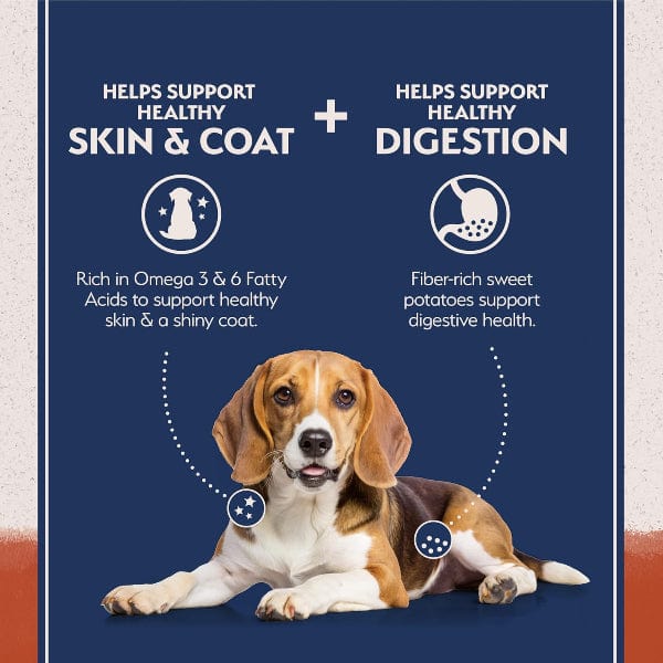 Natural Balance Limited Ingredient Salmon & Sweet Potato Recipe Dry Dog Food - Image 3
