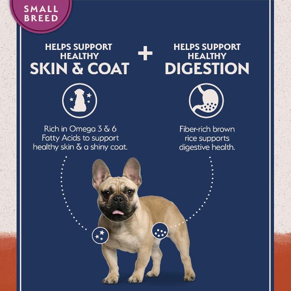 Natural Balance Limited Ingredient Salmon & Sweet Potato Small Breed Recipe Dry Dog Food - Image 3