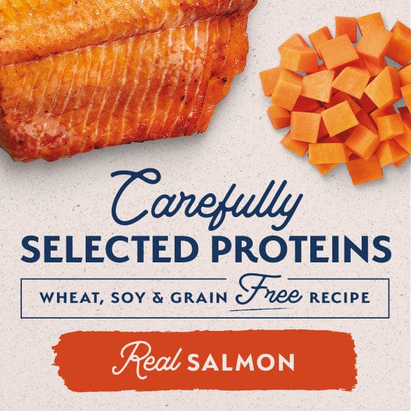 Natural Balance Limited Ingredient Sweet Potato & Salmon Recipe Canned Dog Food - Image 3