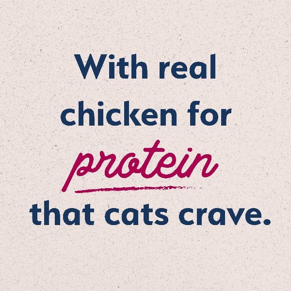 Natural Balance Original Ultra Chicken Meal & Salmon Meal Recipe Dry Cat Food, 15lb - Image 5