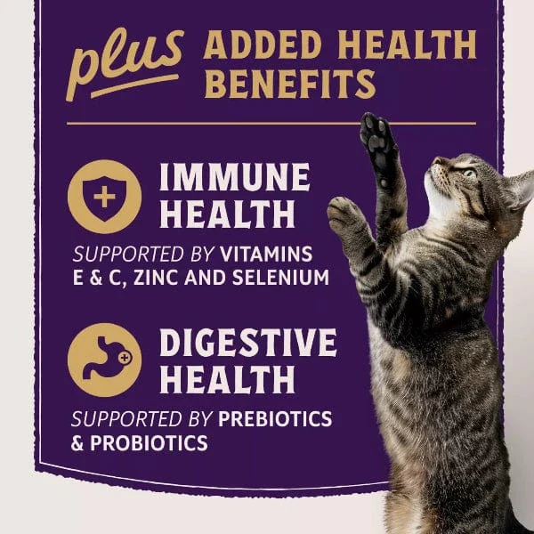Natural Balance Original Ultra Protein+ Immune and Digestive Health Real Chicken & Chicken Meal Recipe Dry Cat Food - Image 2