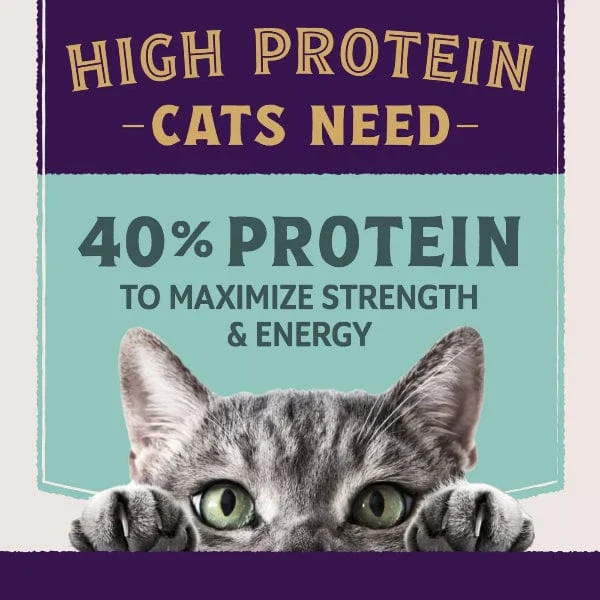 Natural Balance Original Ultra Protein+ Immune and Digestive Health Real Chicken & Chicken Meal Recipe Dry Cat Food - Image 3