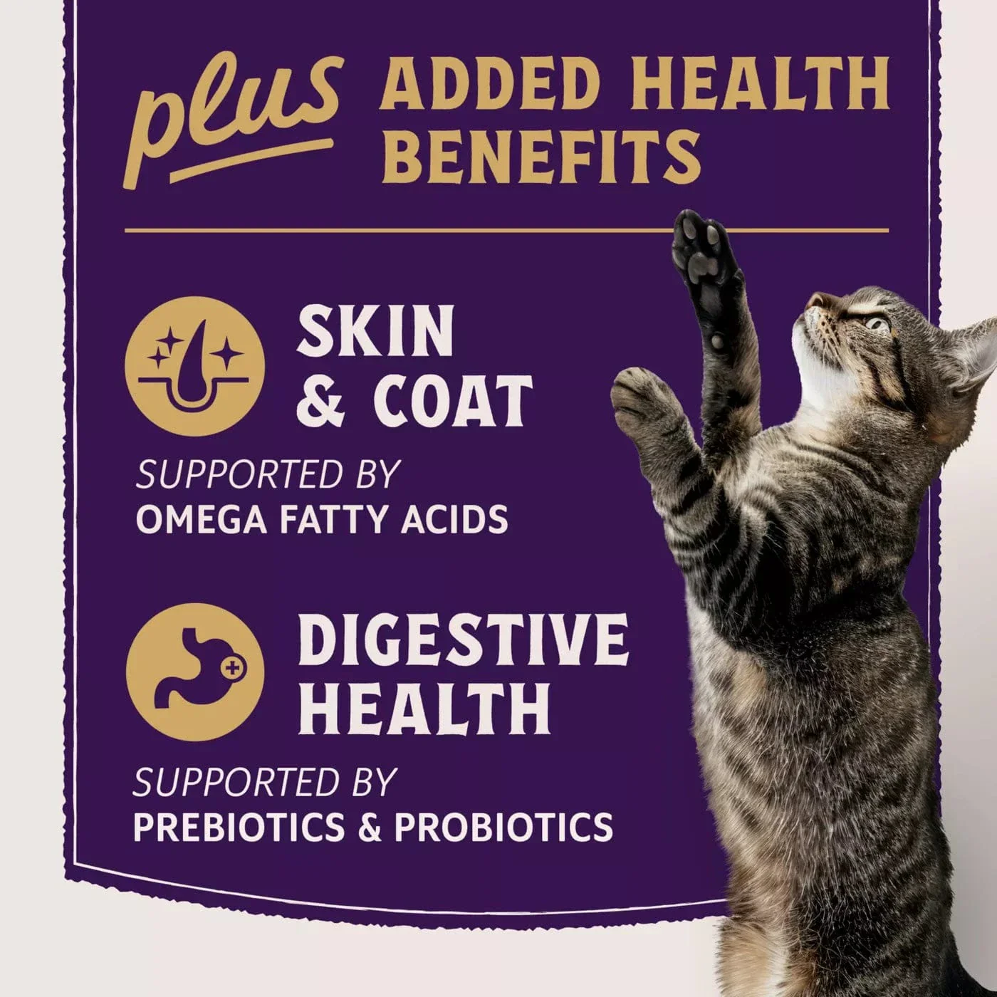 Natural Balance Original Ultra Protein+ Skin & Coat and Digestive Health, Real Salmon & Chicken Meal Recipe Dry Cat Food - Image 2