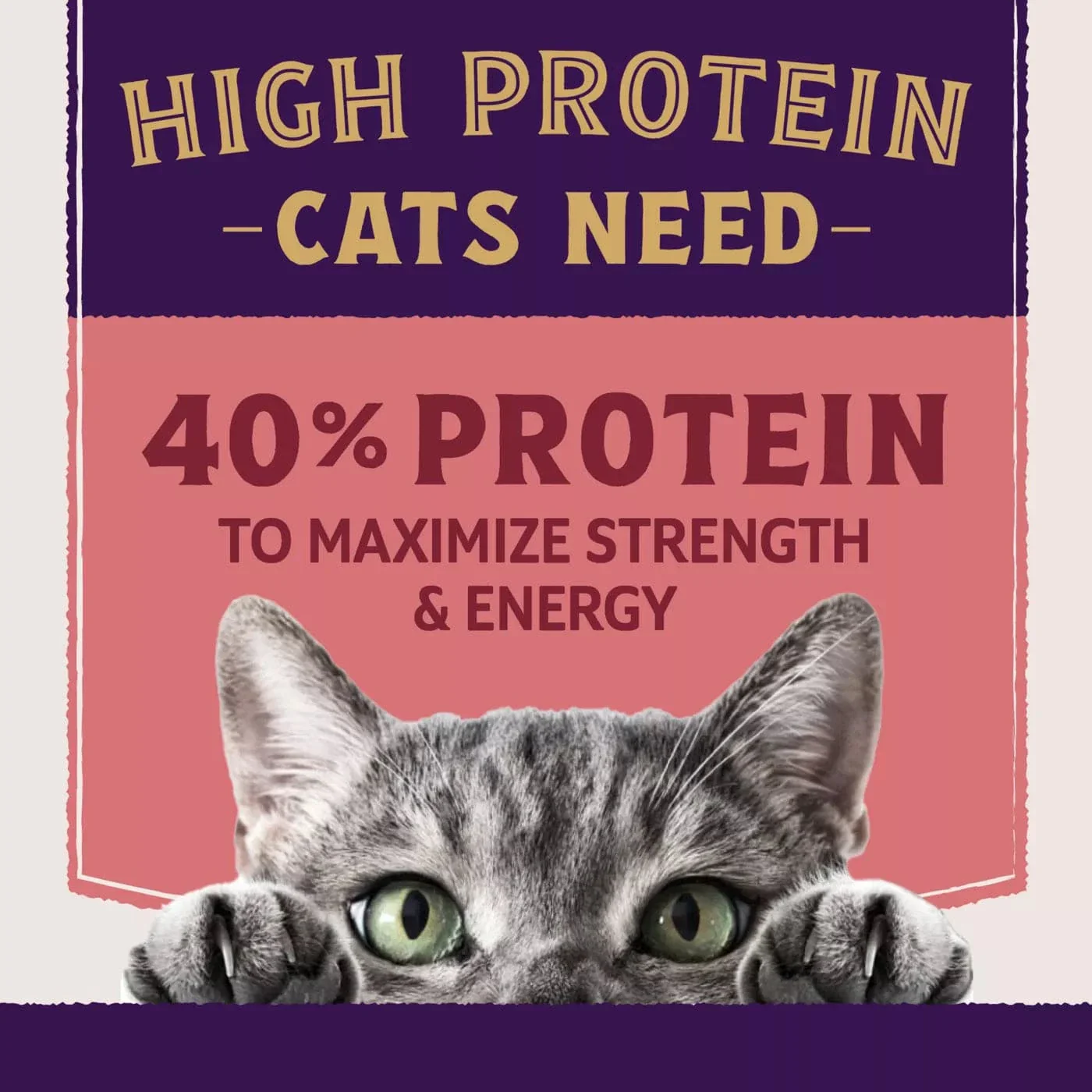 Natural Balance Original Ultra Protein+ Skin & Coat and Digestive Health, Real Salmon & Chicken Meal Recipe Dry Cat Food - Image 3