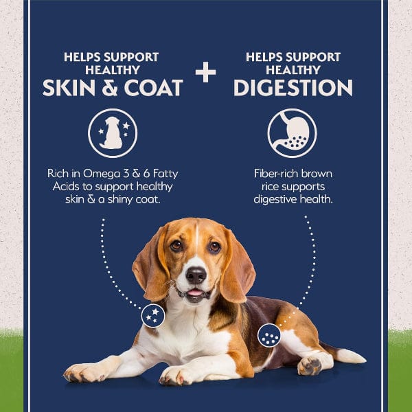 Natural Balance Vegetarian Recipe with Superfood Blend Dry Dog Food, 24lb - Image 3