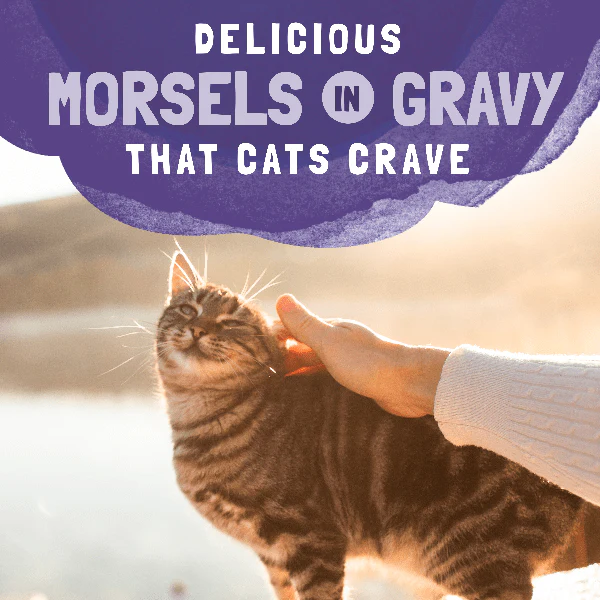 Natural Balance Platefulls Chicken & Chicken Liver Recipe Morsels in Gravy Cat Food Pouch - Image 3