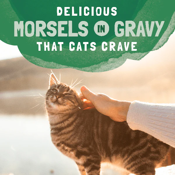 Natural Balance Platefulls Chicken & Giblets Recipe Morsels in Gravy Cat Food Pouch - Image 3