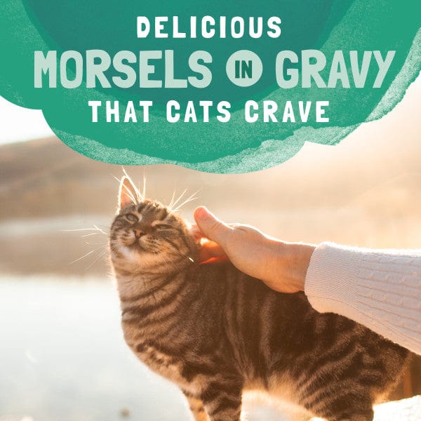 Natural Balance Platefulls Chicken & Salmon Recipe Morsels in Gravy Food Pouch - Image 3