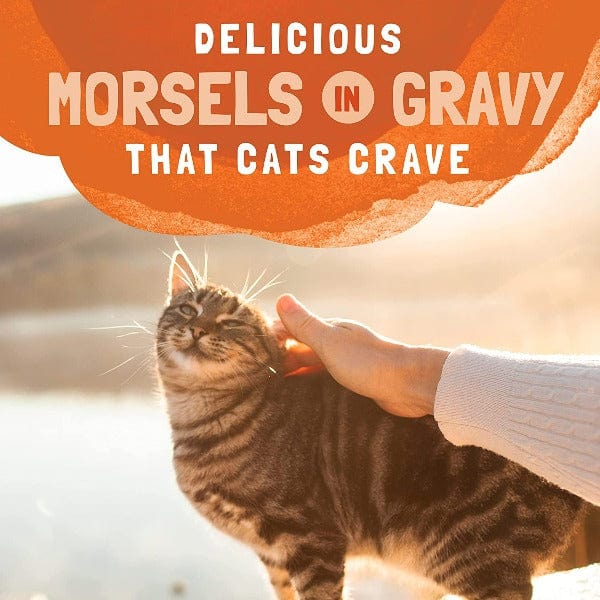 Natural Balance Platefulls Turkey, Chicken & Duck Recipe Morsels in Gravy Cat Food Pouch - Image 3
