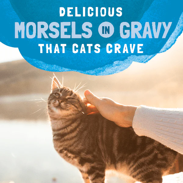 Natural Balance Platefulls Mackerel & Sardine Recipe Morsels in Gravy Cat Food Pouch - Image 3