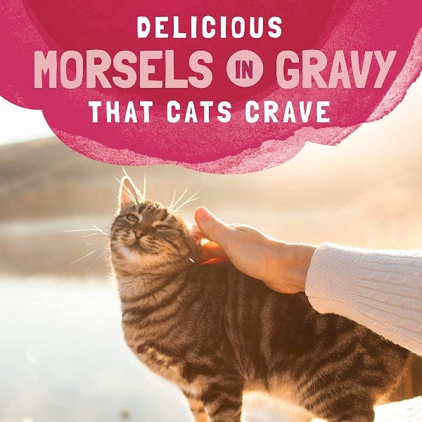 Natural Balance Platefulls Salmon, Tuna, Chicken & Shrimp Recipe Morsels in Gravy Cat Food Pouch - Image 3
