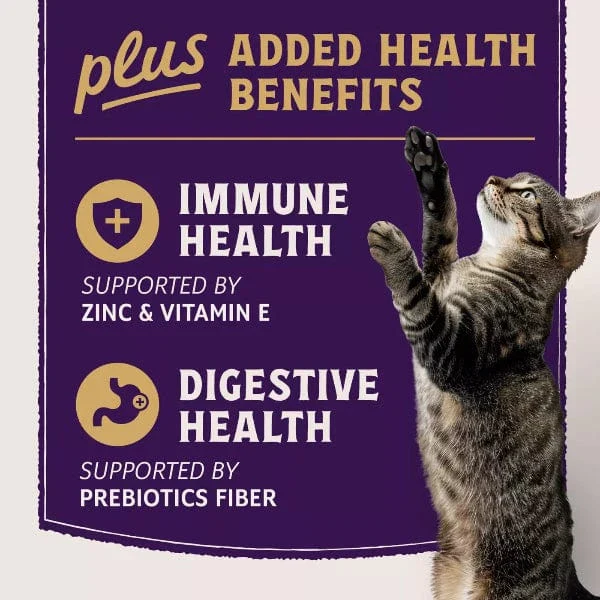 Natural Balance Ultra Protein+ Immune and Digestive Health Real Chicken with Pumpkin Puree Topper for Cats - Image 6