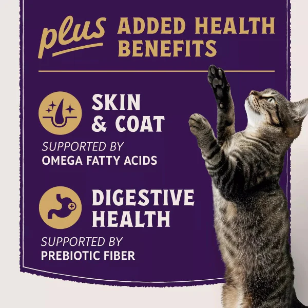 Natural Balance Ultra Protein+ Skin & Coat and Digestive Health Real Salmon with Pumpkin Puree Topper for Cats - Image 6